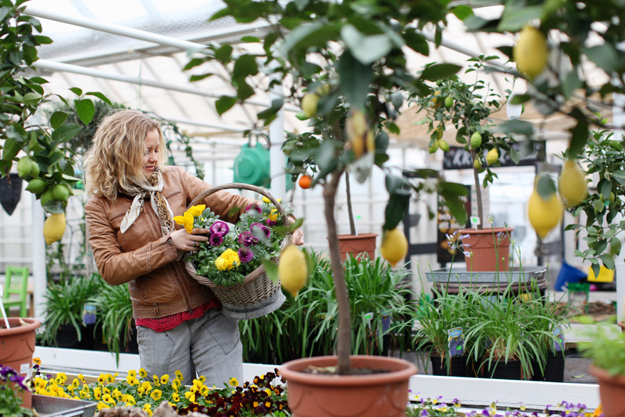 blomblogg