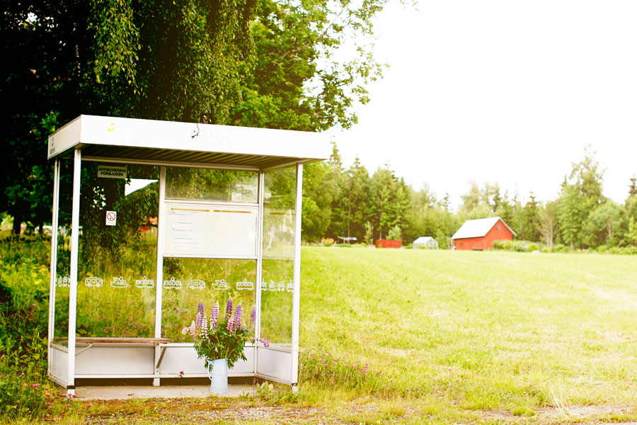gallsadblogg3
